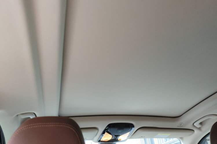 Used BMW X5 2019 xDrive40i M Sport Package Headliner