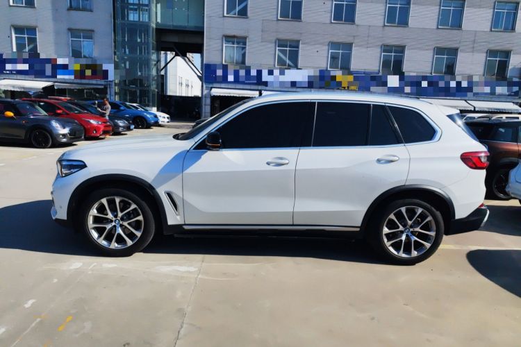 Used BMW X5 2019 xDrive30i X Design Package Left Side