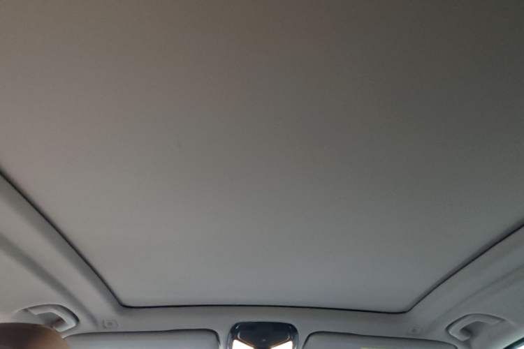 Used BMW X5 2020 xDrive40i M Sport Package Headliner