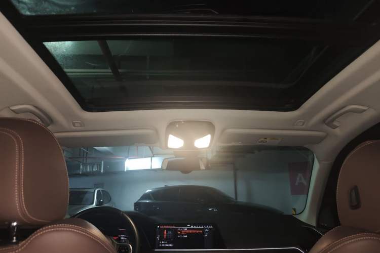 Used BMW X5 2020 xDrive40i M Sport Package Headliner