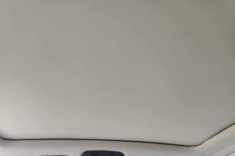 Used BMW X5 2020 xDrive40i Luxury Model with M Sport Package Headliner