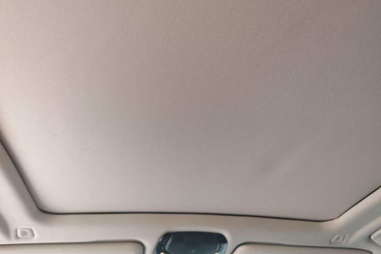 Used BMW X5 2020 xDrive40i M Sport Package Headliner