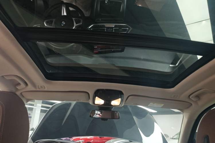 Used BMW X5 2020 xDrive40i M Sport Package Headliner