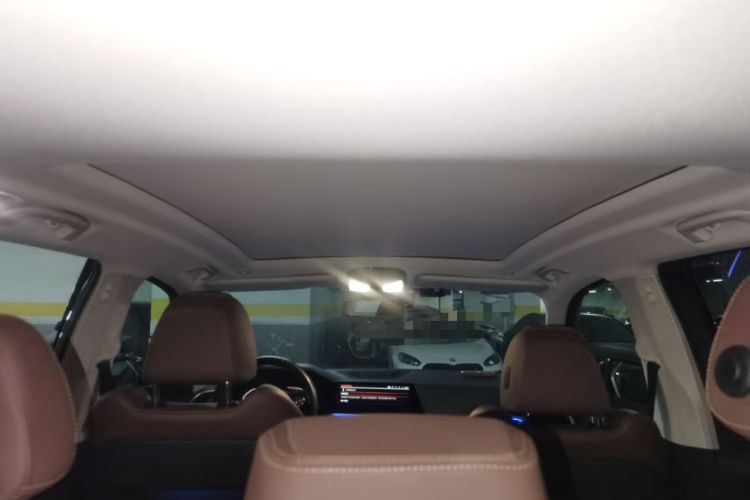 Used BMW X5 2020 xDrive30i X Design Package Headliner