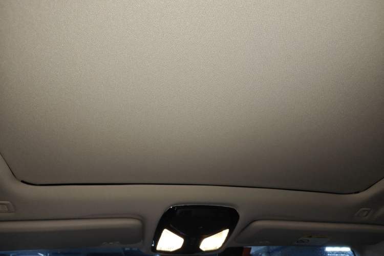 Used BMW X5 2020 xDrive40i M Sport Package Headliner