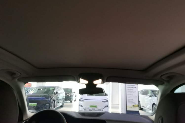 Used BMW X5 2020 xDrive30i X Design Package Headliner