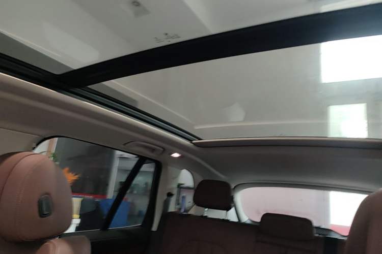 Used BMW X5 2020 xDrive30i X Design Package Headliner