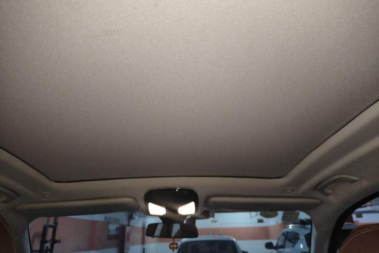 Used BMW X5 2020 xDrive30i X Design Package Headliner
