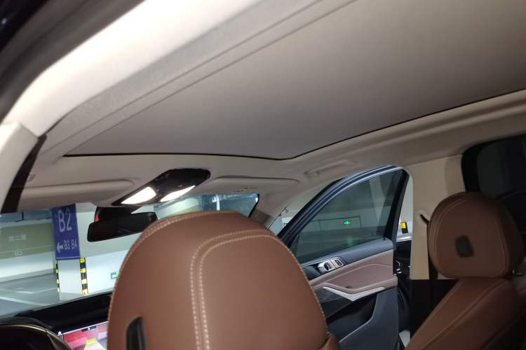 Used BMW X5 2020 xDrive30i X Design Package Headliner