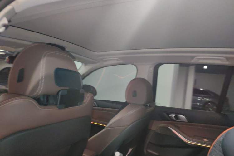 Used BMW X5 2020 xDrive30i M Sport Package Headliner