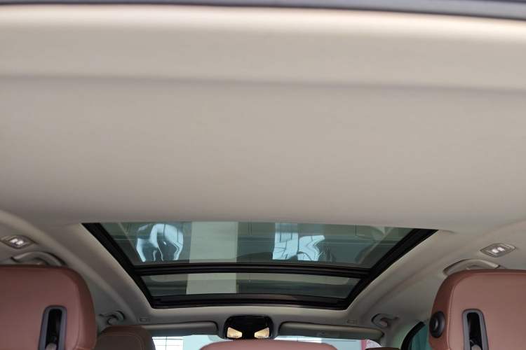 Used BMW X5 2020 xDrive30i M Sport Package Headliner
