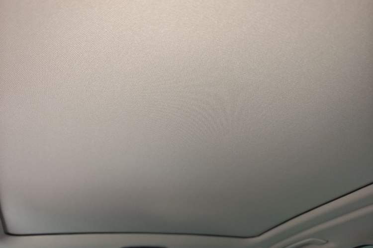 Used BMW X5 2020 xDrive30i M Sport Package Headliner