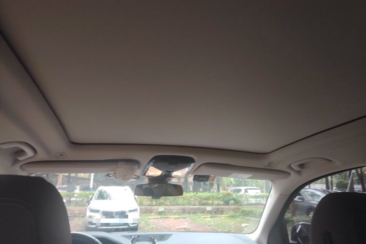 Used BMW X5  Headliner