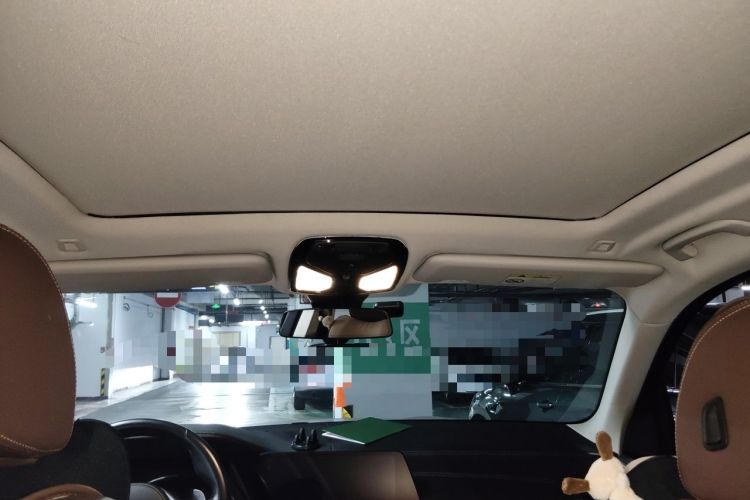 Used BMW X5 2020 xDrive30i M Sport Package Headliner