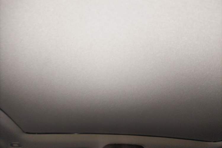 Used BMW X5 2020 xDrive30i X Design Package Headliner