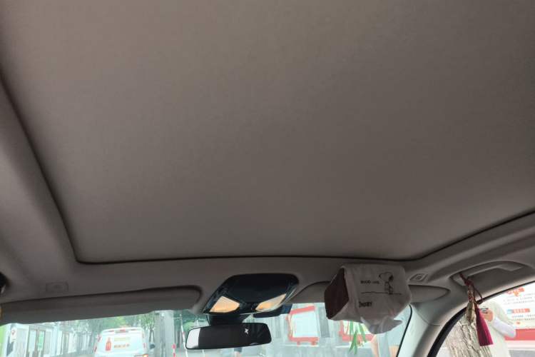 Used BMW X5 2020 xDrive30i M Sport Package Headliner