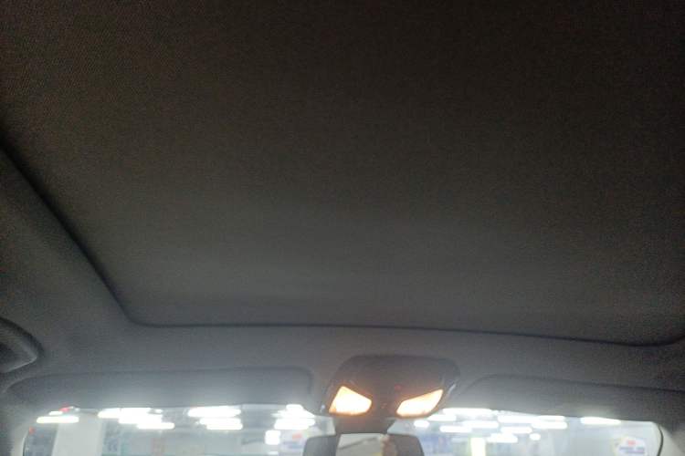 Used BMW X5 2020 xDrive40i M Sport Package Headliner