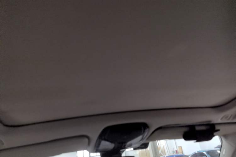 Used BMW X5 2020 xDrive40i M Sport Package Headliner