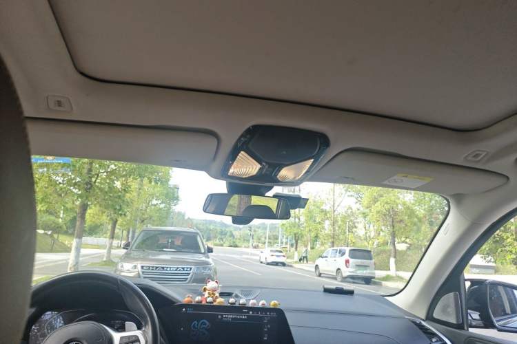 Used BMW X5 2020 xDrive40i M Sport Package Headliner
