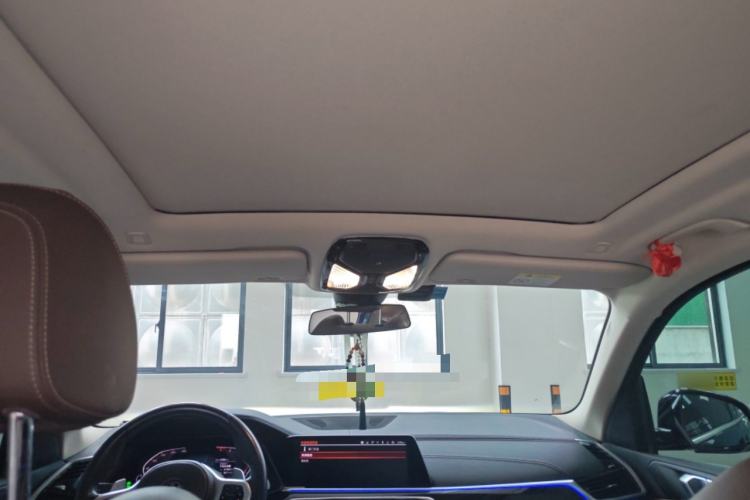 Used BMW X5 2020 xDrive30i M Sport Package Headliner