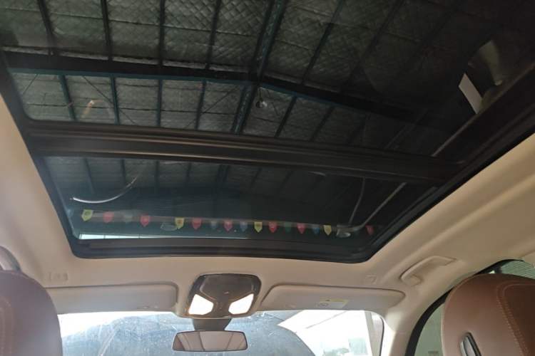 Used BMW X5 2020 xDrive30i X Design Package Headliner