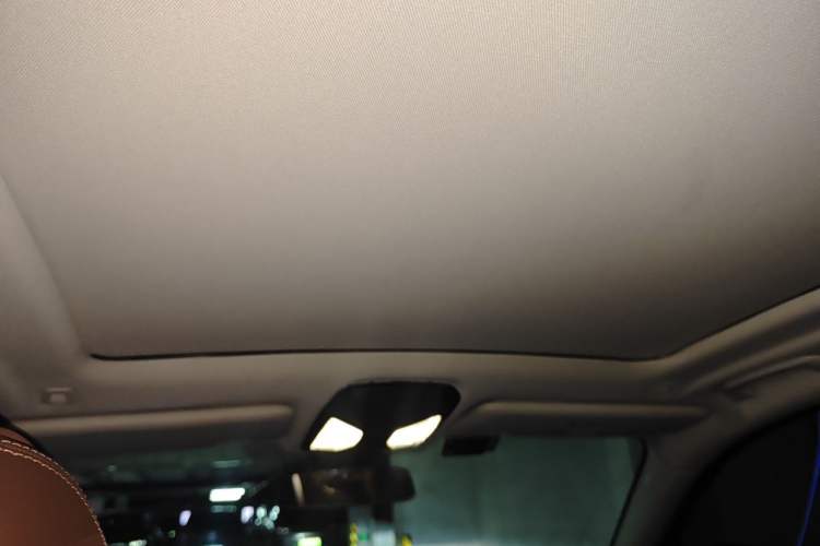 Used BMW X5 2020 xDrive40i M Sport Package Headliner
