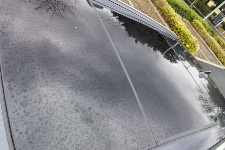Used BMW X5 2020 xDrive40i M Sport Package Roof