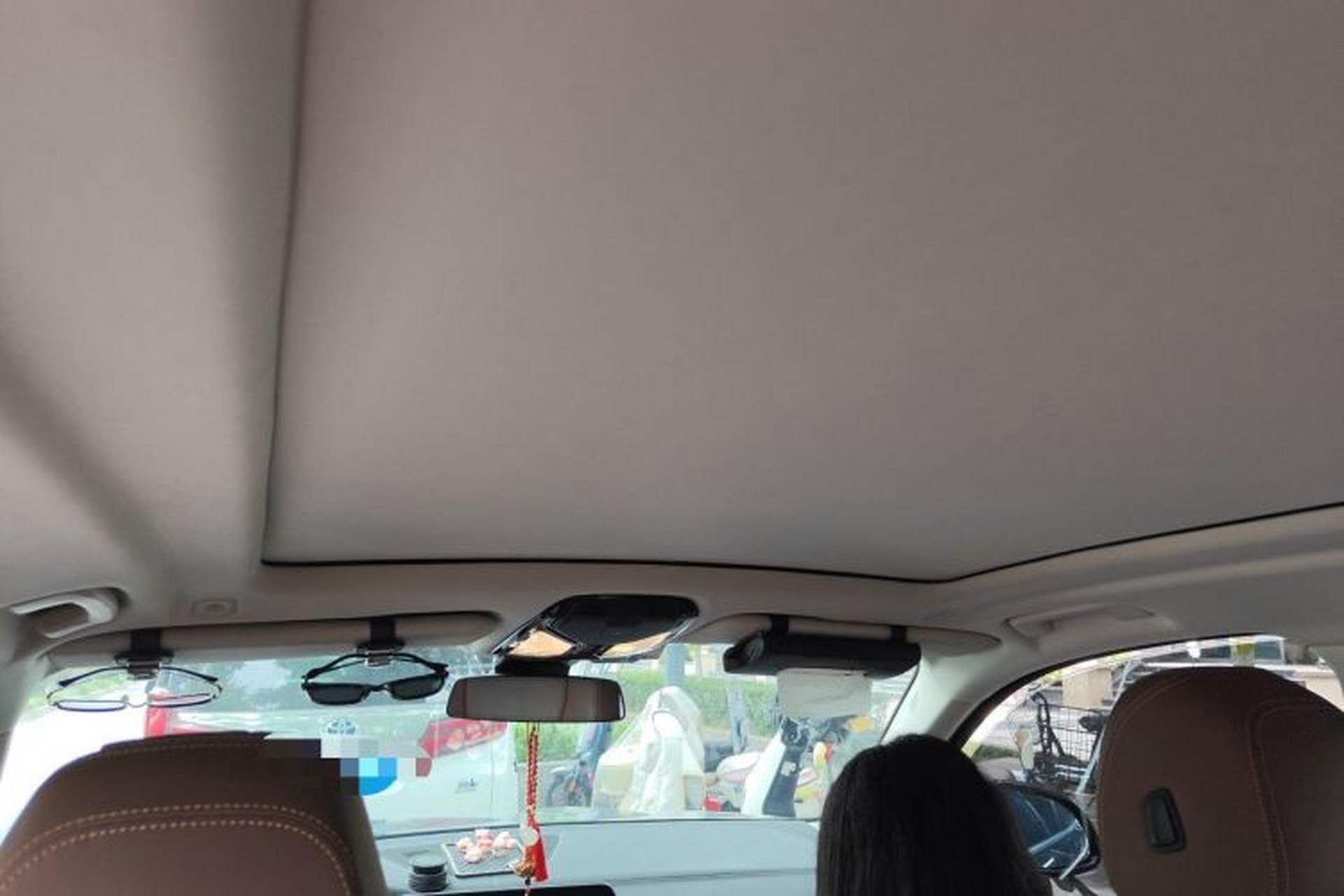 Used BMW X5 2020 xDrive30i X Design Package Headliner