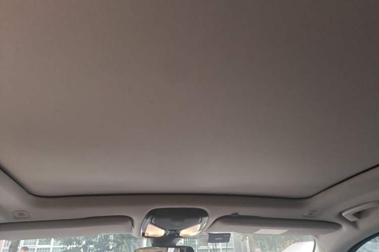 Used BMW X5 2020 xDrive40i M Sport Package Headliner