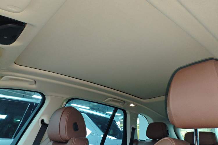 Used BMW X5 2020 xDrive30i X Design Package Headliner