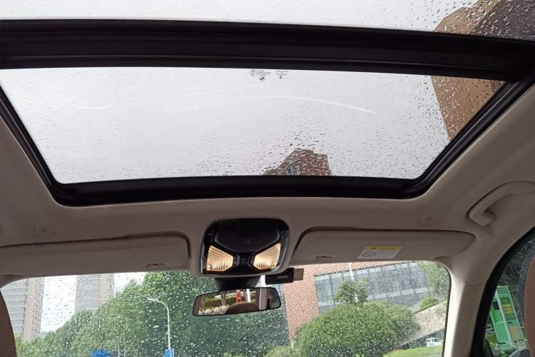 Used BMW X5 2020 xDrive40i M Sport Package Headliner