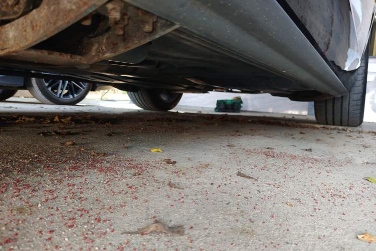 Used BMW X5 2021 xDrive30i M Sport Package Chassis Front Left