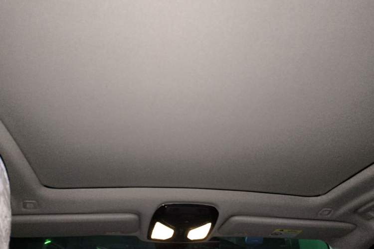 Used BMW X5 2021 xDrive30i M Sport Package Headliner