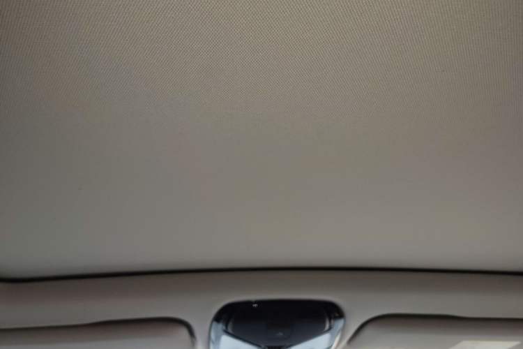 Used BMW X5 2021 xDrive40i M Sport Package Headliner