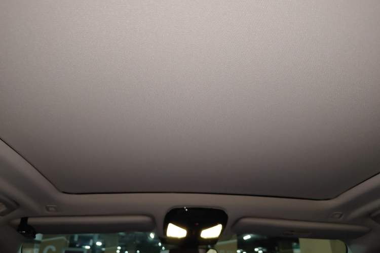 Used BMW X5 2021 Restyled xDrive40i Luxury Version M Sport Package Headliner