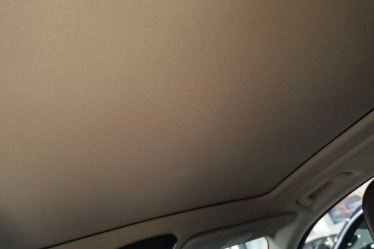 Used BMW X5 2021 xDrive30i X Design Package Headliner