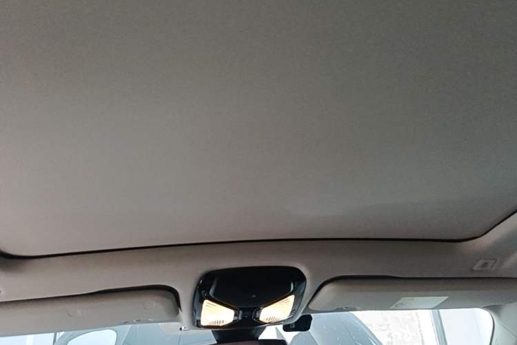 Used BMW X5 2021 Restyled xDrive40i M Sport Package Headliner