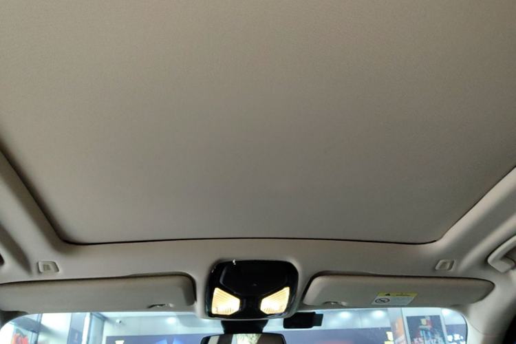 Used BMW X5 2021 xDrive40i M Sport Package Headliner