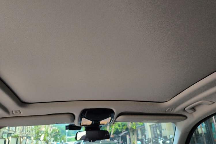 Used BMW X5 2021 xDrive30i M Sport Package Headliner