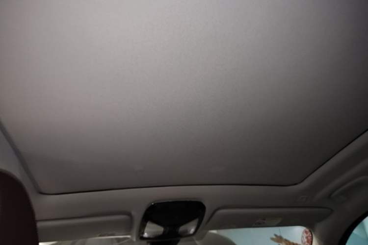 Used BMW X5 2021 xDrive40i M Sport Package Headliner