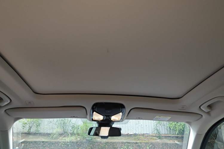 Used BMW X5  Headliner