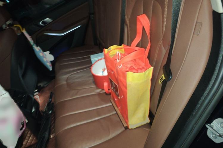 Used BMW X5 2021 xDrive30i M Sport Package Left Rear Seat