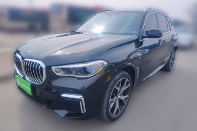 Used BMW X5 2022 xDrive 40Li M Sport Package