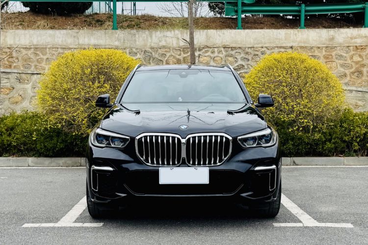 Used BMW X5 2022 xDrive 40Li M Sport Package Exterior 2