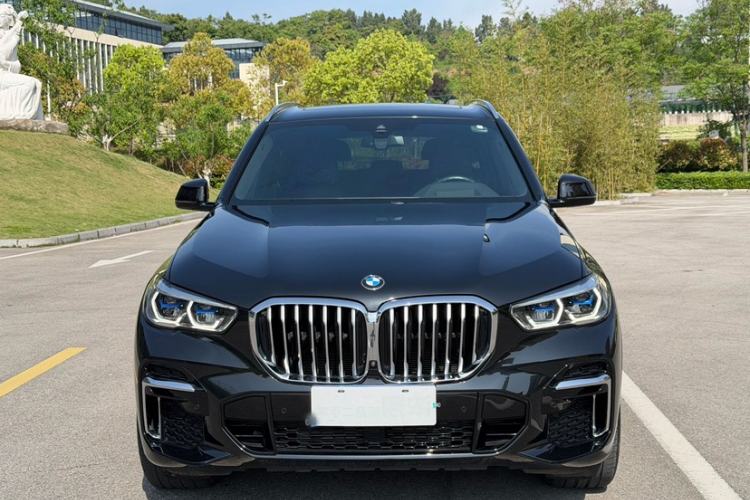 Used BMW X5 2022 xDrive 40Li M Sport Package Exterior 5