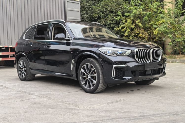 Used BMW X5 2022 xDrive 30Li Luxury M Sport Package Exterior 8