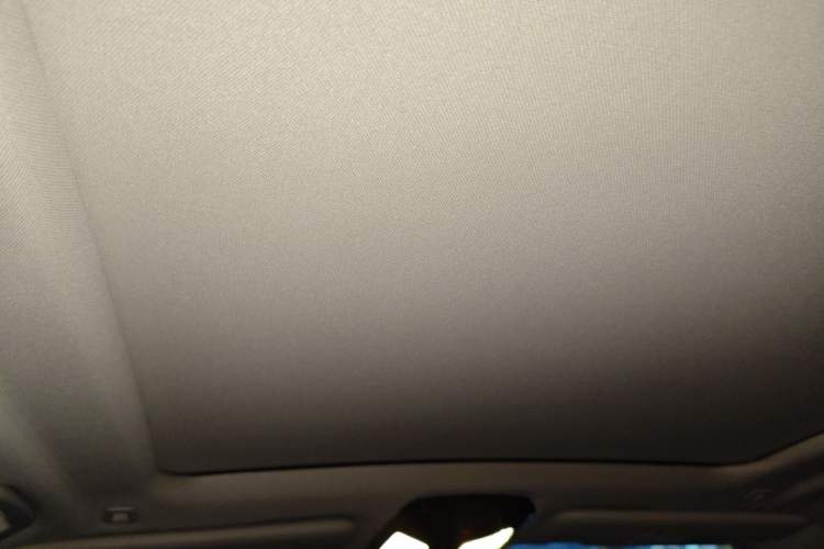 Used BMW X5 2022 xDrive 30Li Luxury M Sport Package Headliner