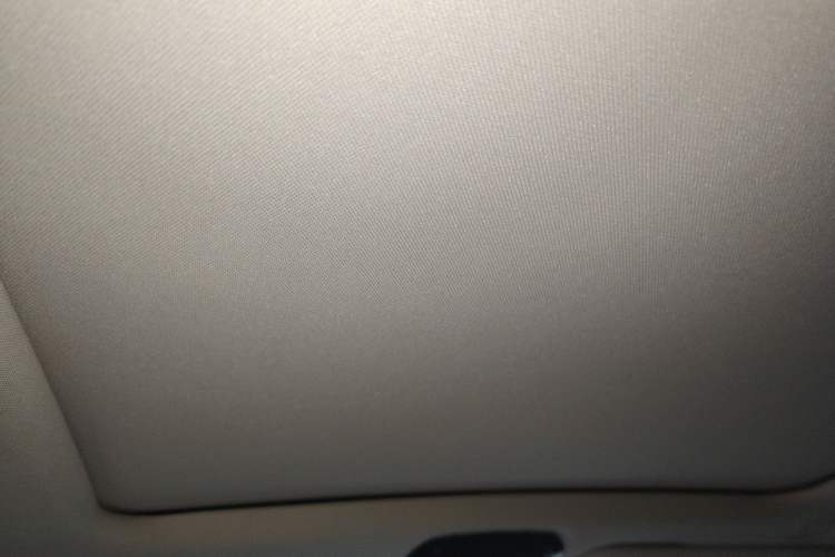 Used BMW X5 2022 xDrive 30Li Luxury M Sport Package Headliner