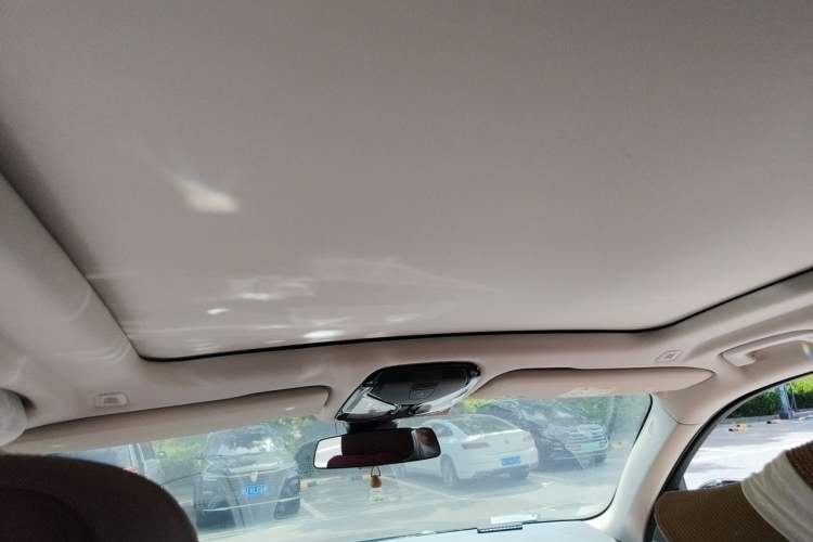 Used BMW X5 2022 Restyled xDrive 30Li Luxury Version M Sport Package Headliner