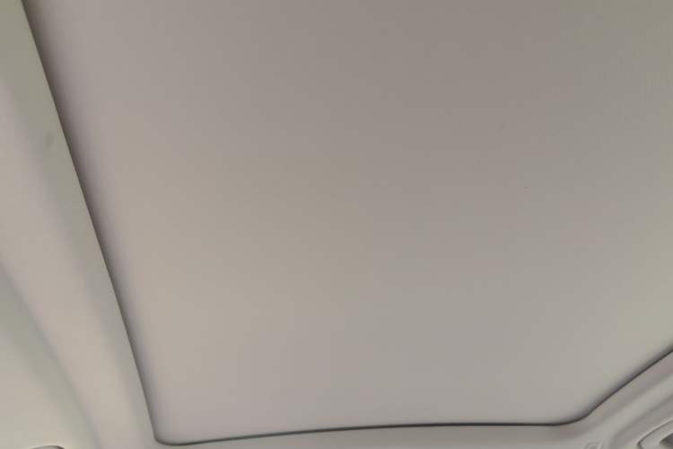 Used BMW X5 2022 Restyled xDrive 30Li Luxury Version M Sport Package Headliner